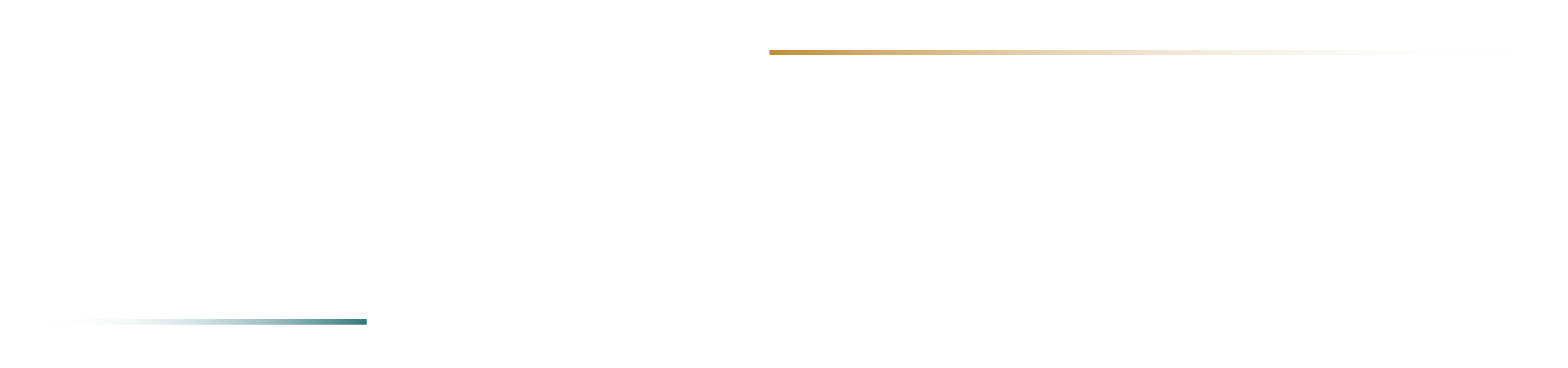 Ceo strategos